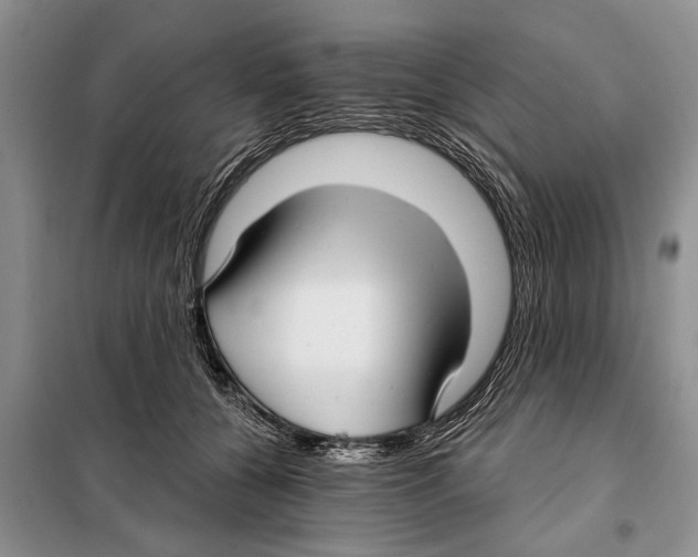 X0000097870560200804110926
