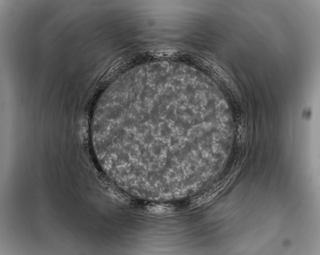 X0000097870561200804110926