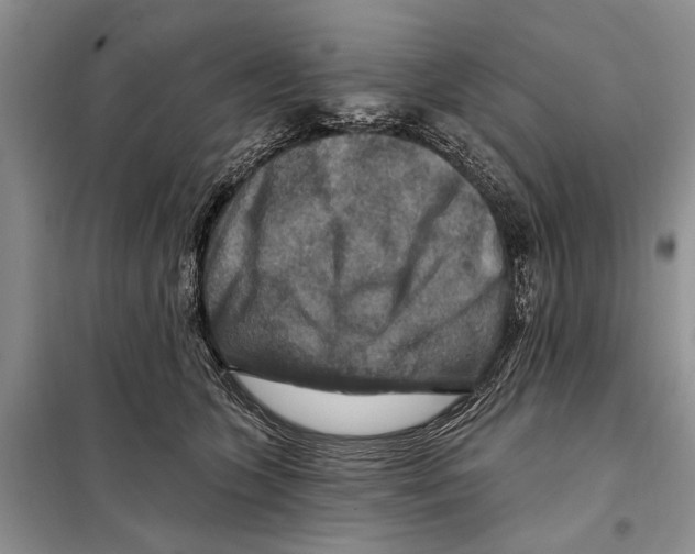 X0000097870563200804110926