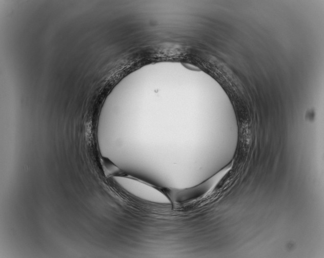 X0000097870564200804110926