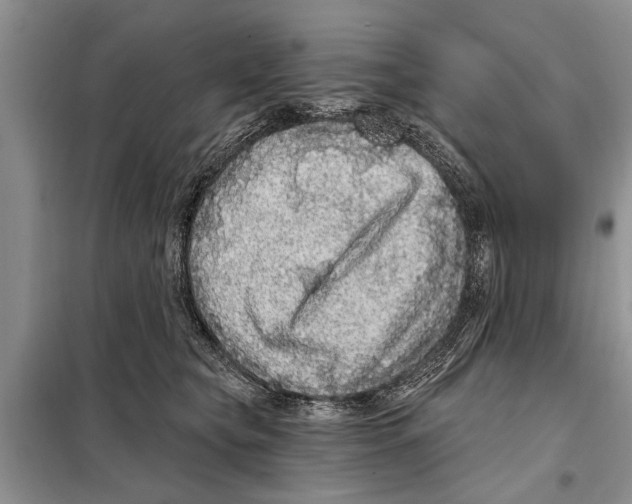 X0000097870565200804110926