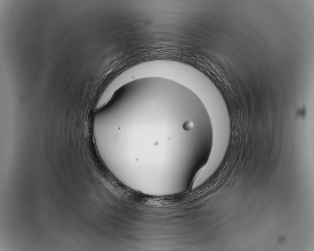 X0000097870568200804110927