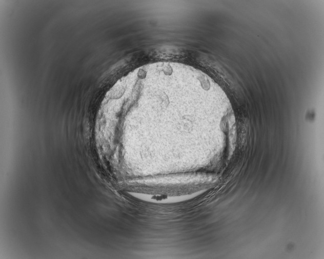 X0000097870569200804110927