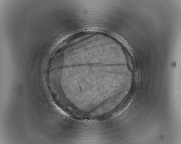 X0000097870577200804110926