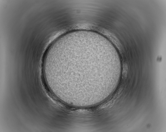 X0000097870578200804110926