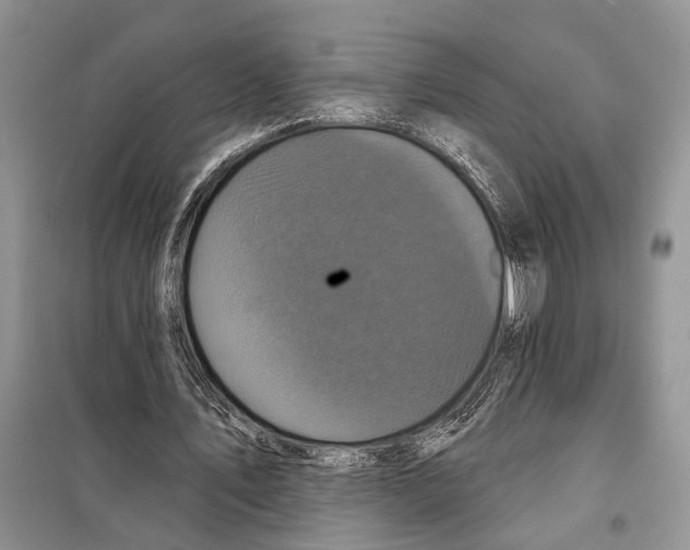 X0000097870579200804110926