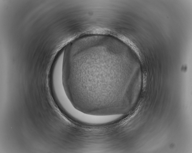X0000097870581200804110926