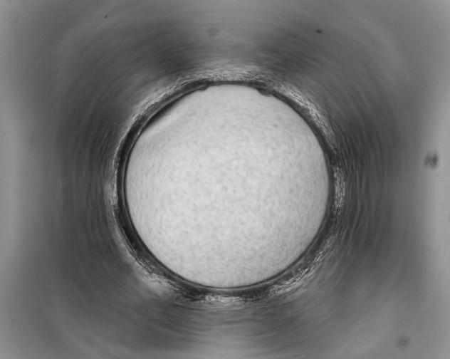 X0000097870582200804110926