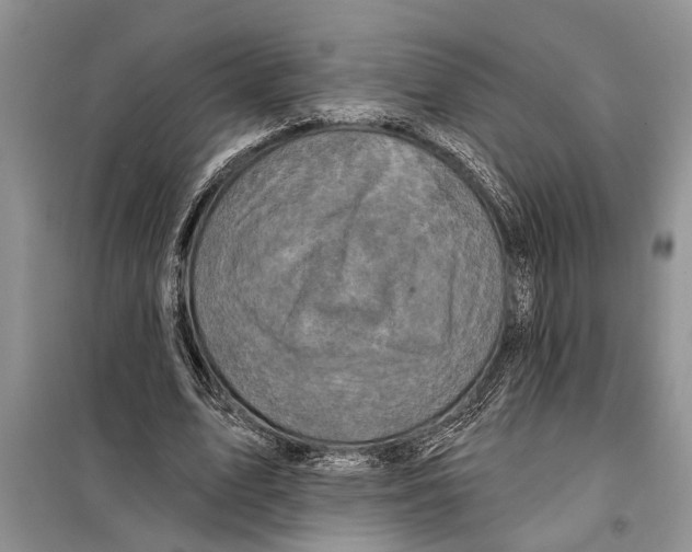X0000097870583200804110926