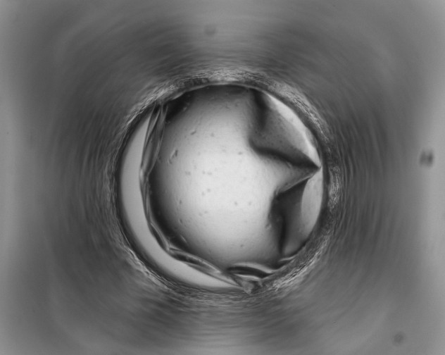 X0000097870585200804110926