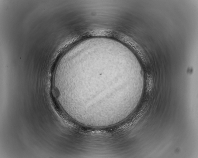 X0000097870586200804110926