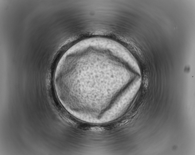 X0000097870591200804110926