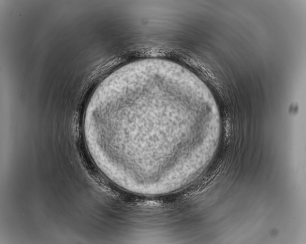 X0000097870594200804110926