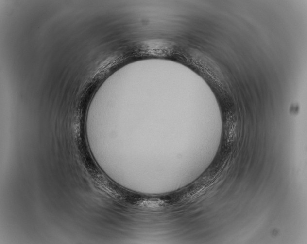 X0000097870595200804110926
