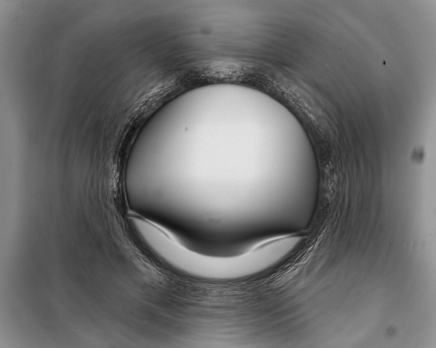X0000097870597200804110926