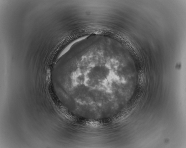 X0000097870598200804110925