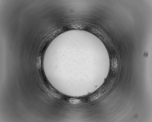 X0000097870602200804110925
