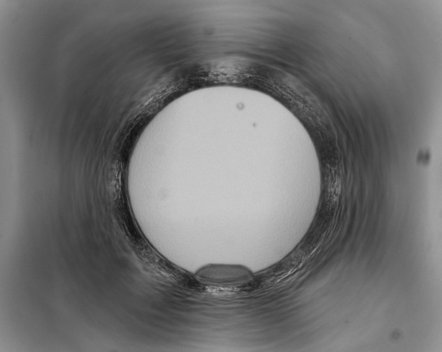 X0000097870603200804110925