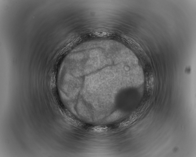X0000097870606200804110925