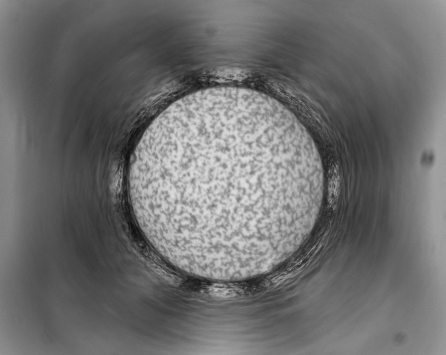 X0000097870608200804110925