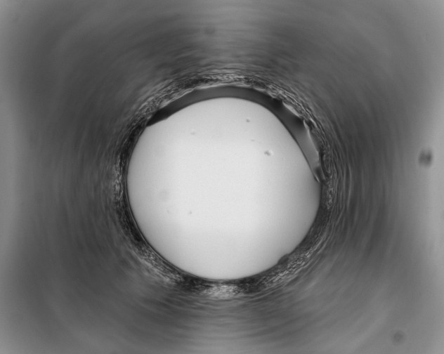 X0000097870609200804110925