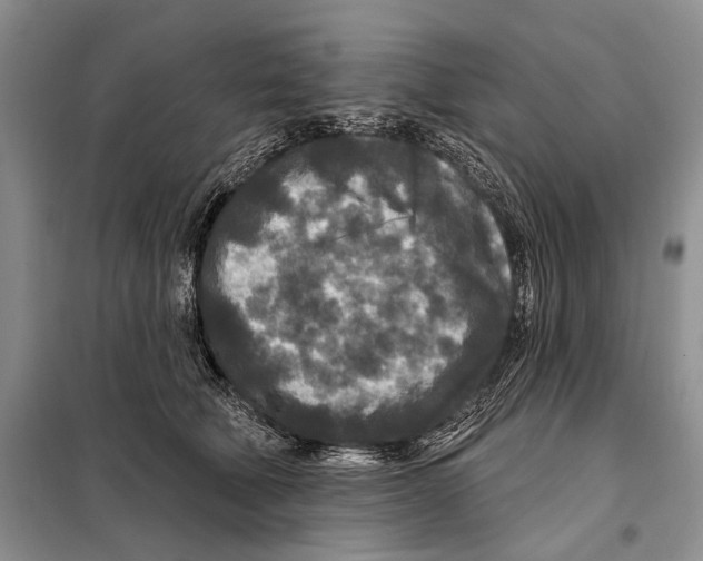 X0000097870610200804110925