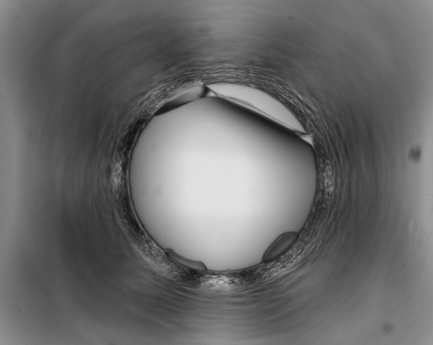 X0000097870611200804110925