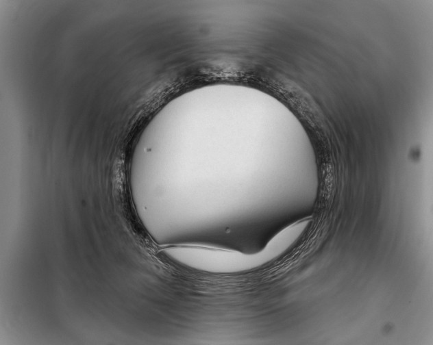 X0000097870612200804110925