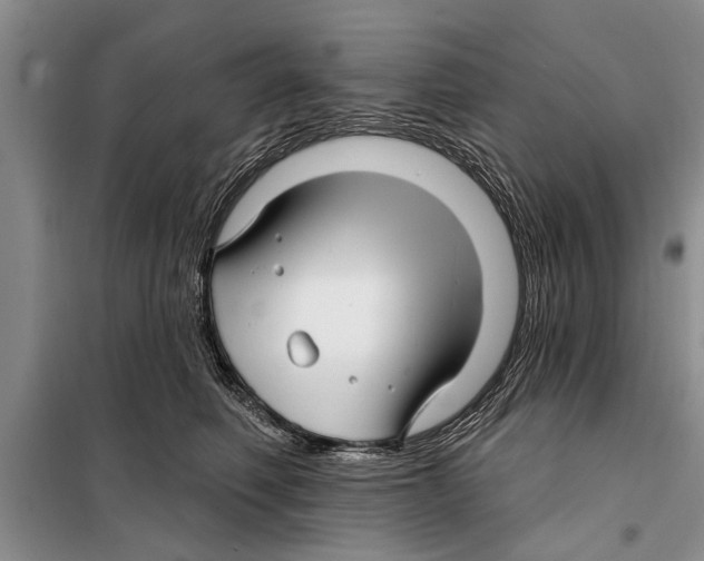 X0000097870614200804110925