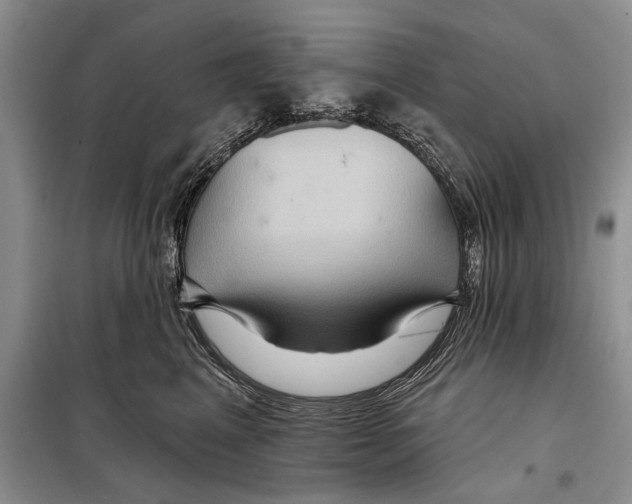 X0000097870617200804110925