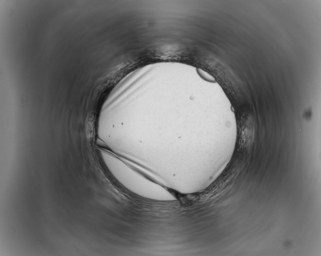 X0000097870620200804110925