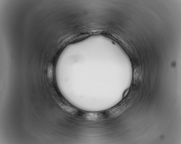 X0000097870623200804110925