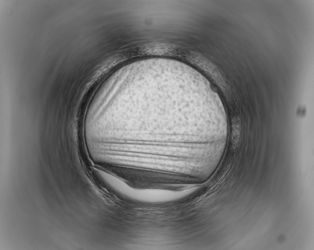 X0000097870626200804110924