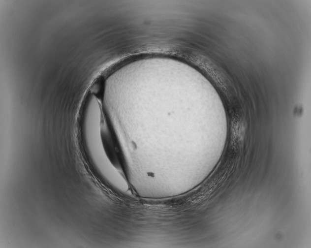 X0000097870628200804110925