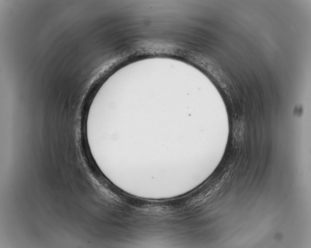 X0000097870629200804110925
