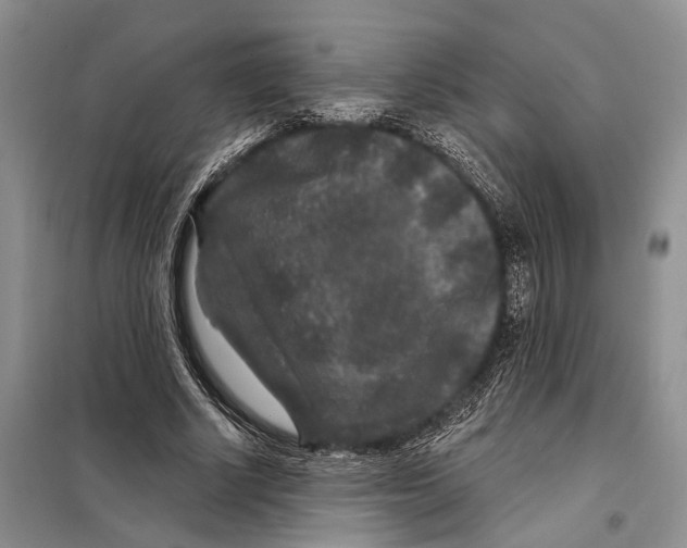 X0000097870634200804110925