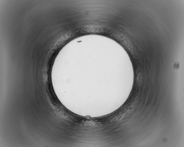 X0000097870635200804110925