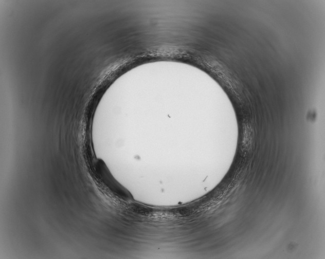 X0000097870636200804110925