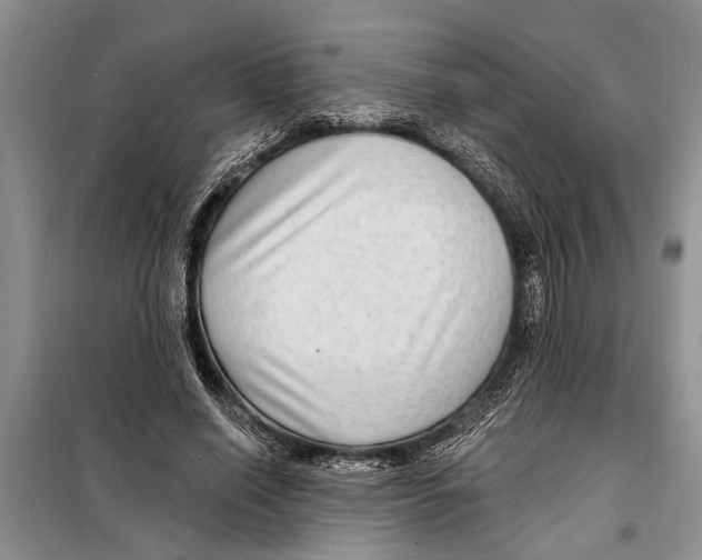 X0000097870638200804110925