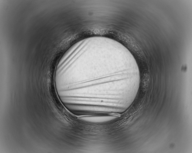 X0000097870639200804110925
