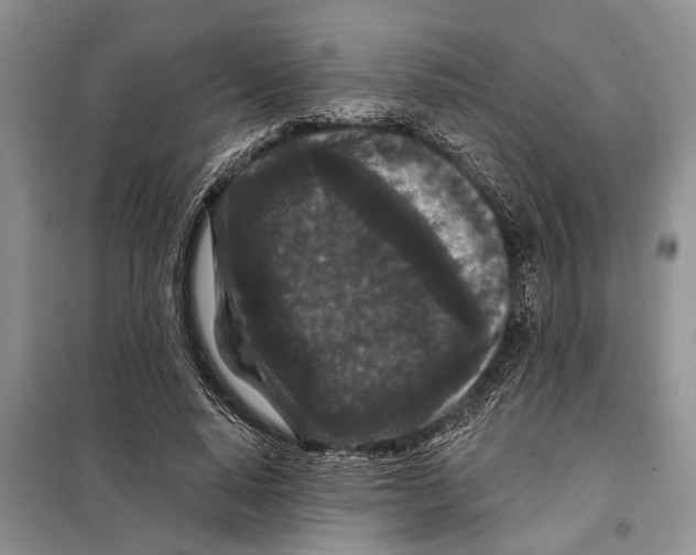 X0000097870640200804110925