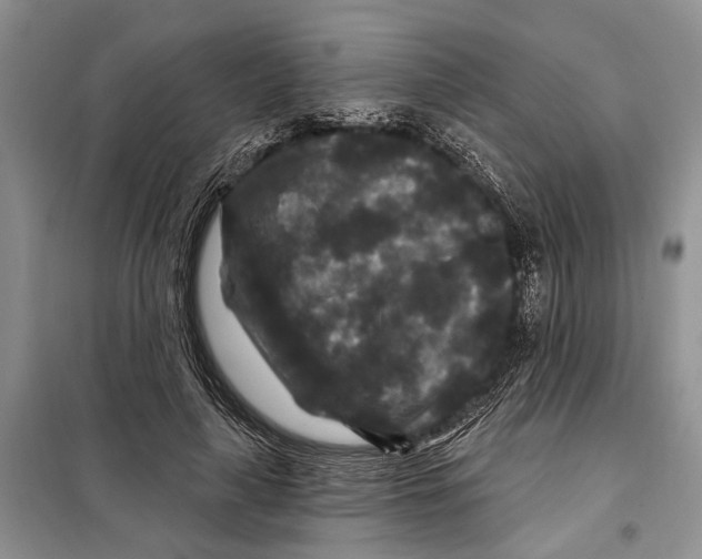 X0000097870643200804110925