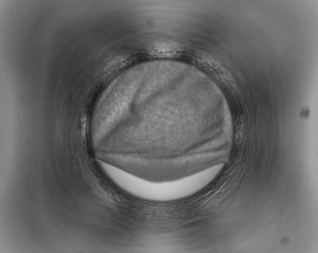 X0000097870647200804110925
