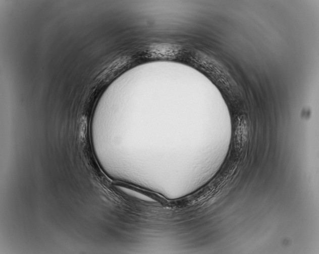 X0000097870649200804110925