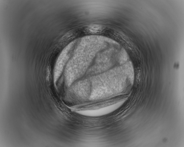 X0000097870651200804110925