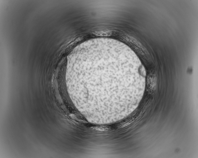 X0000097870652200804110925