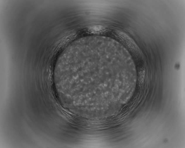 X0000097870653200804110925