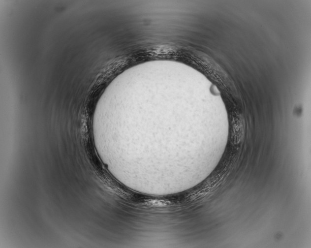 X0000097870654200804110925