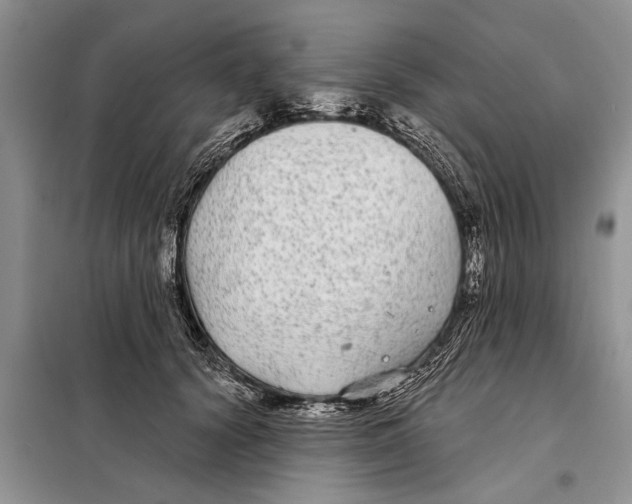 X0000097870656200804110925