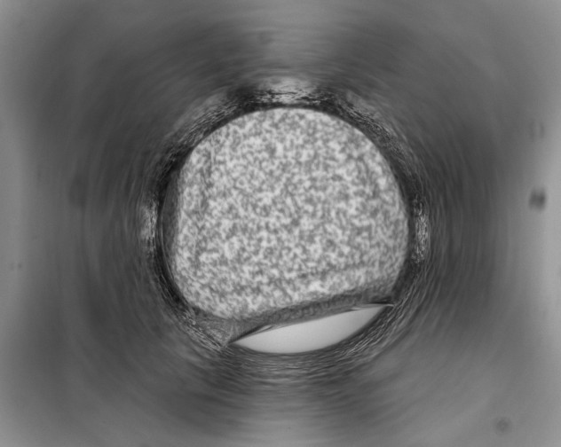 X0000097870657200804110925